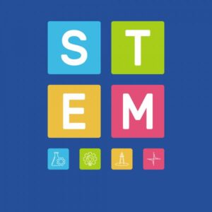 stem