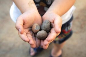 seed bombs