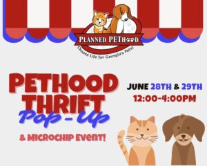 PETHOOD THRIFT POP UP