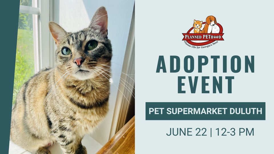 pet adoption june 22