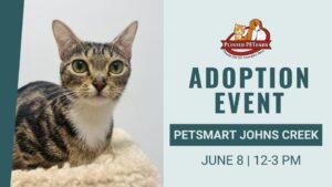 petsmart johns creek