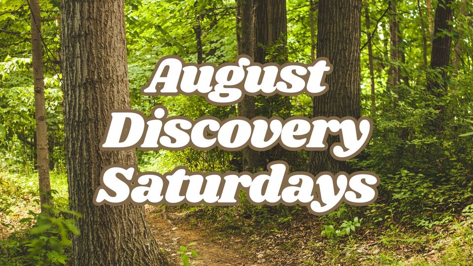 August Discovery Saturdays @ Elachee (Gainesville)