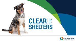 clear the shelters