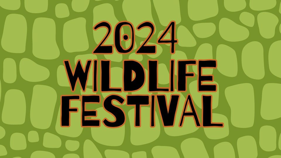 wildlife festival